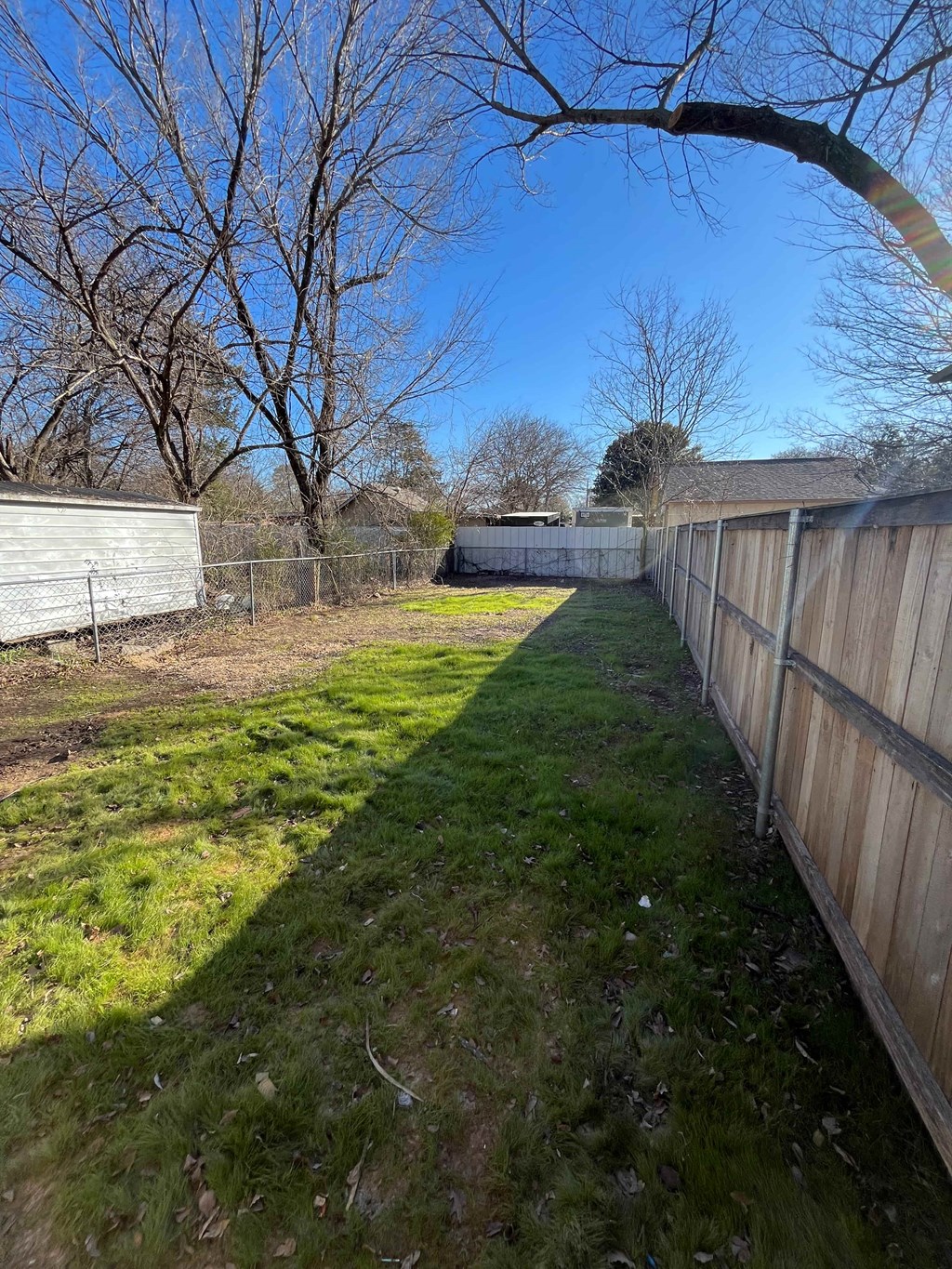 A backyard with a wooden fence and a tree branch in the foreground.