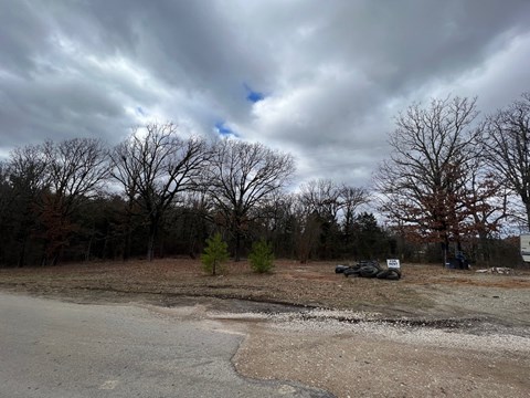 A barren landscape with a few trees and a sign in the distance.