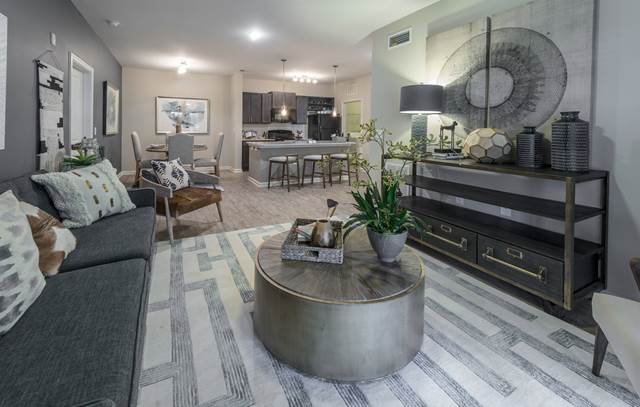1-bedroom apartment at Asheville Exchange Apartments in Asheville, NC