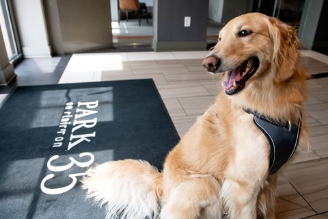 Source URL: https://medialibrarycf.entrata.com/17982/MLv3/3/27/2023/04/21/065704/6442881e8e7548.34081127994.jpg