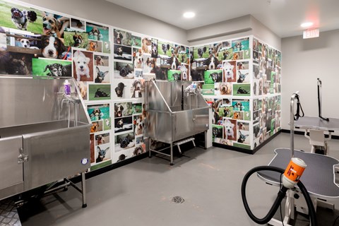 Source URL: https://medialibrarycf.entrata.com/17982/MLv3/3/27/2023/04/21/065710/64428824d4e2f3.30063449749.jpg