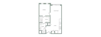 Magnolia H