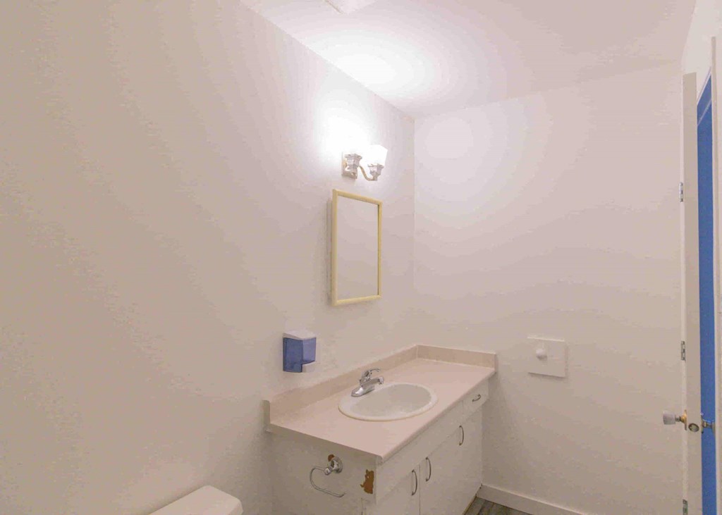 a bathroom with a sink and a mirror and a toilet