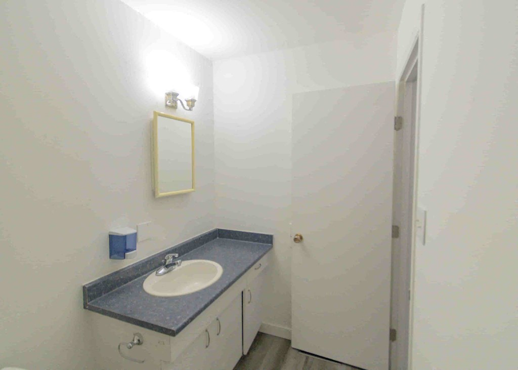 a bathroom with a sink and a mirror