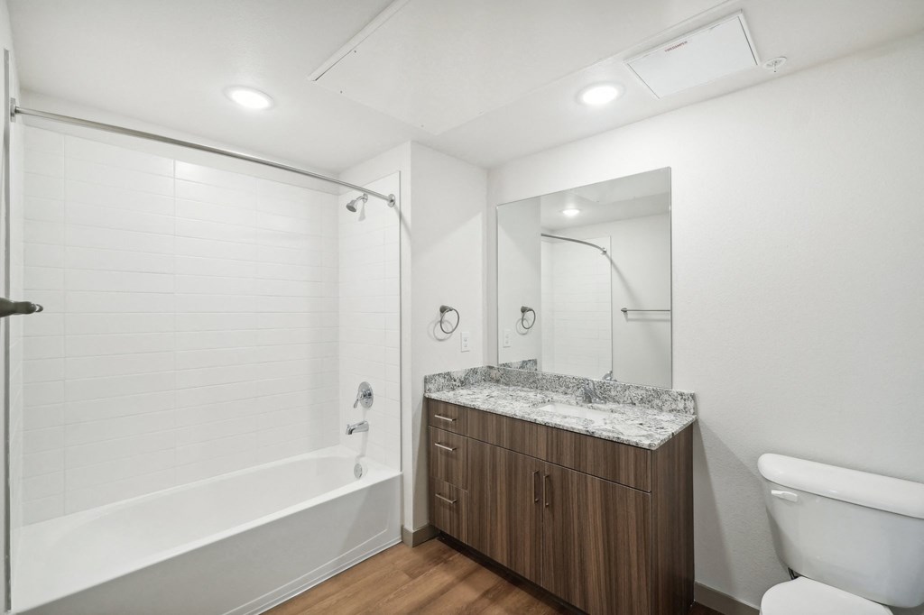 a bathroom with a vanity and a shower and a toilet