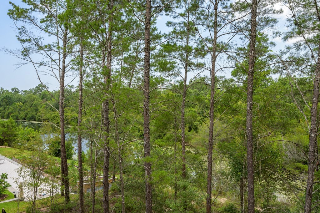 a view of trees and a river from a balcony