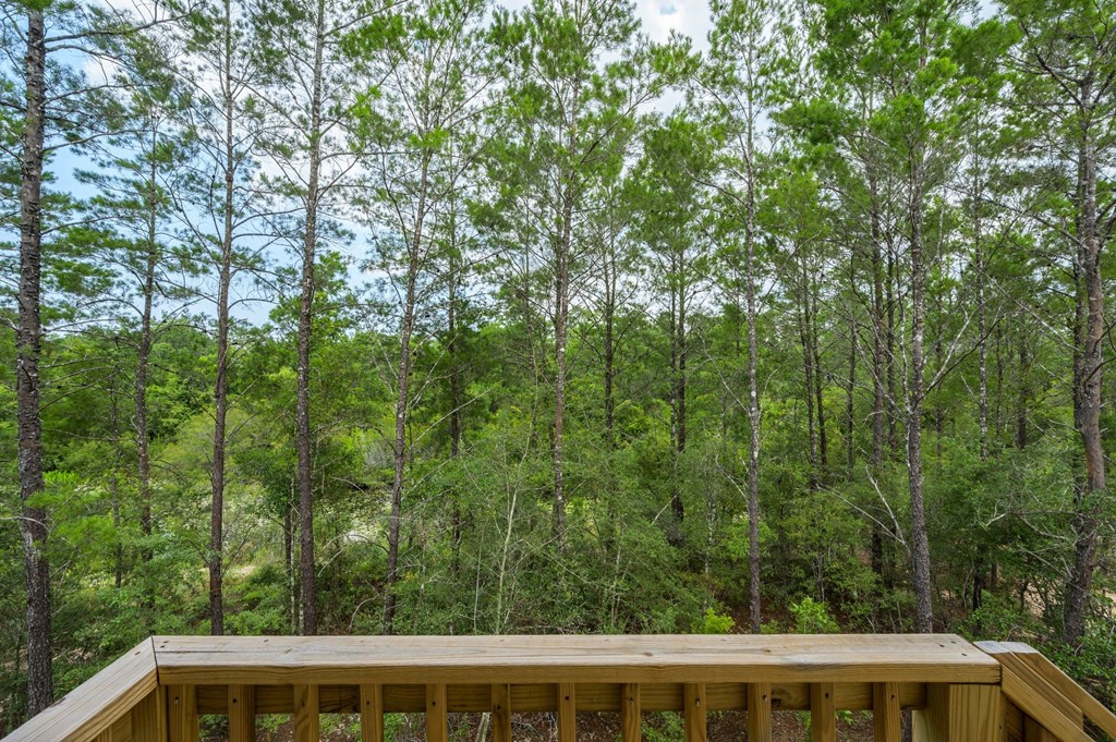 the view of the woods from the deck of a cabin with a roof