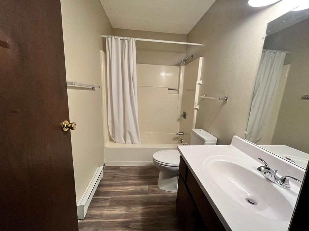 a bathroom with a sink and a toilet and a shower