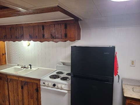 A black fridge and stove in a kitchen with wooden cabinets.
