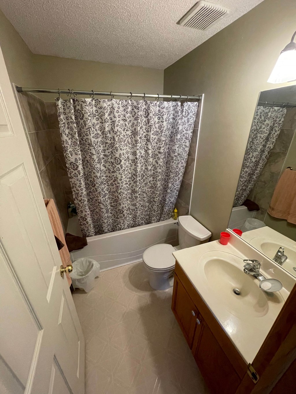 a bathroom with a sink and a toilet and a shower