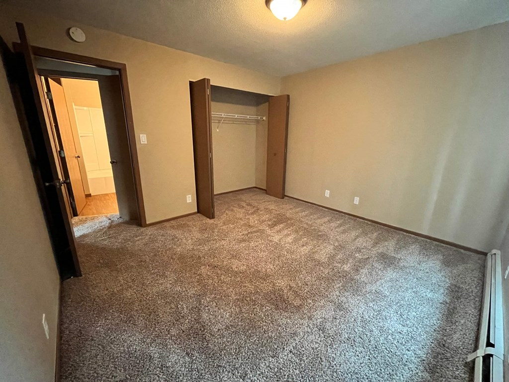 a empty room with a carpeted floor and a closet