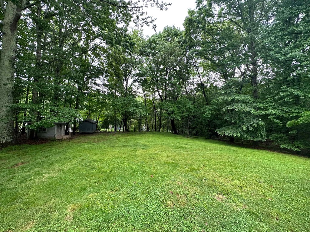 a large yard with trees and a house in the distance