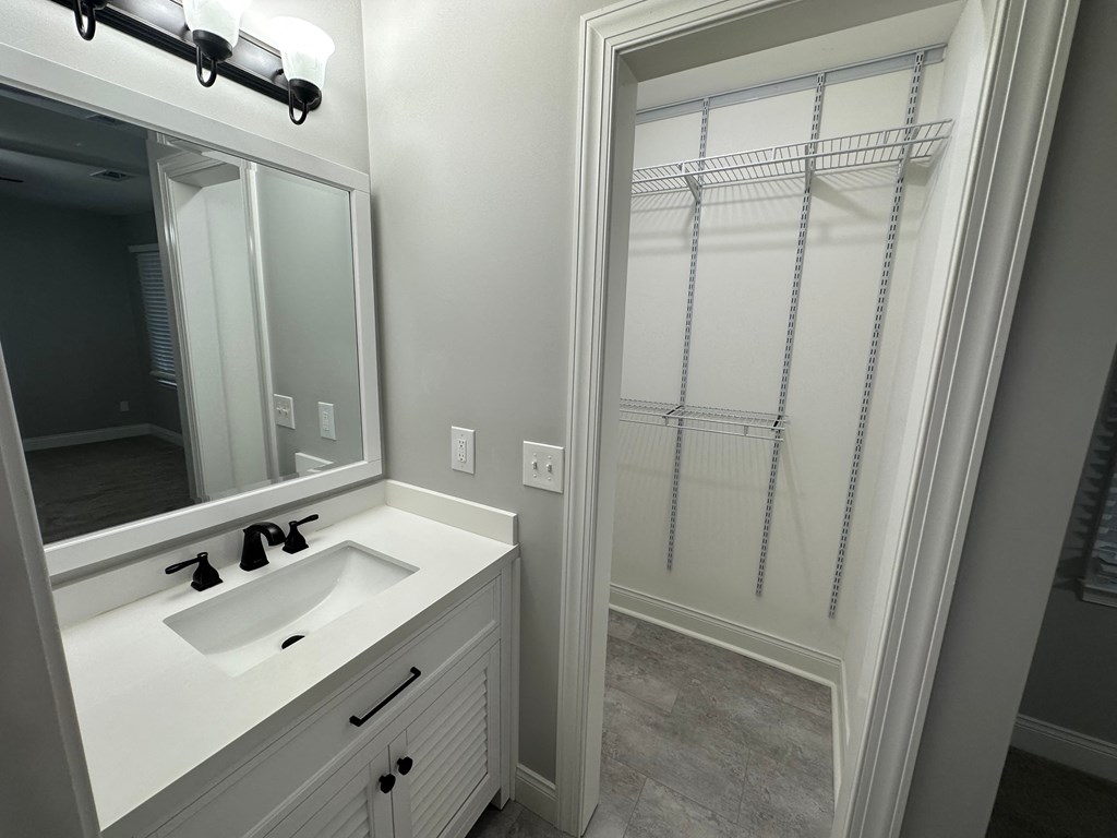 a bathroom with a sink and a mirror and a shower