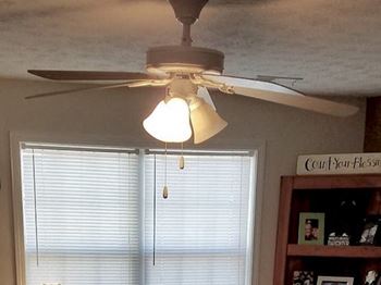 ceiling fan in mountain view living room