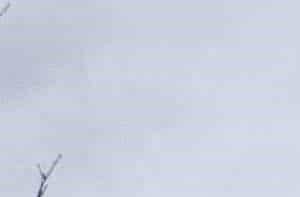 Brewster Mews Apartments | Senior Housing for Rent in Amherst NY