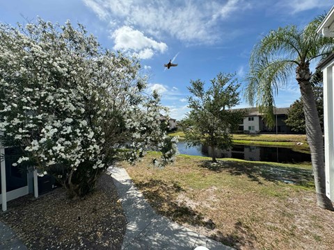 a plane flies over a backyard with a pond and trees