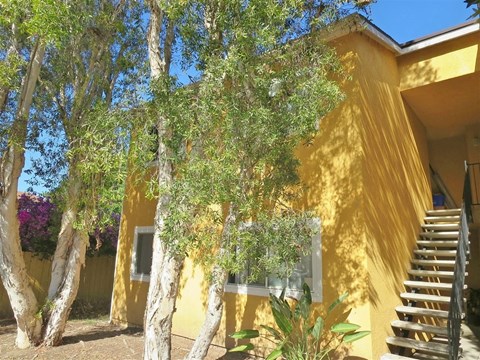4429 Tremont Street, #2 2 Beds Apartment for Rent