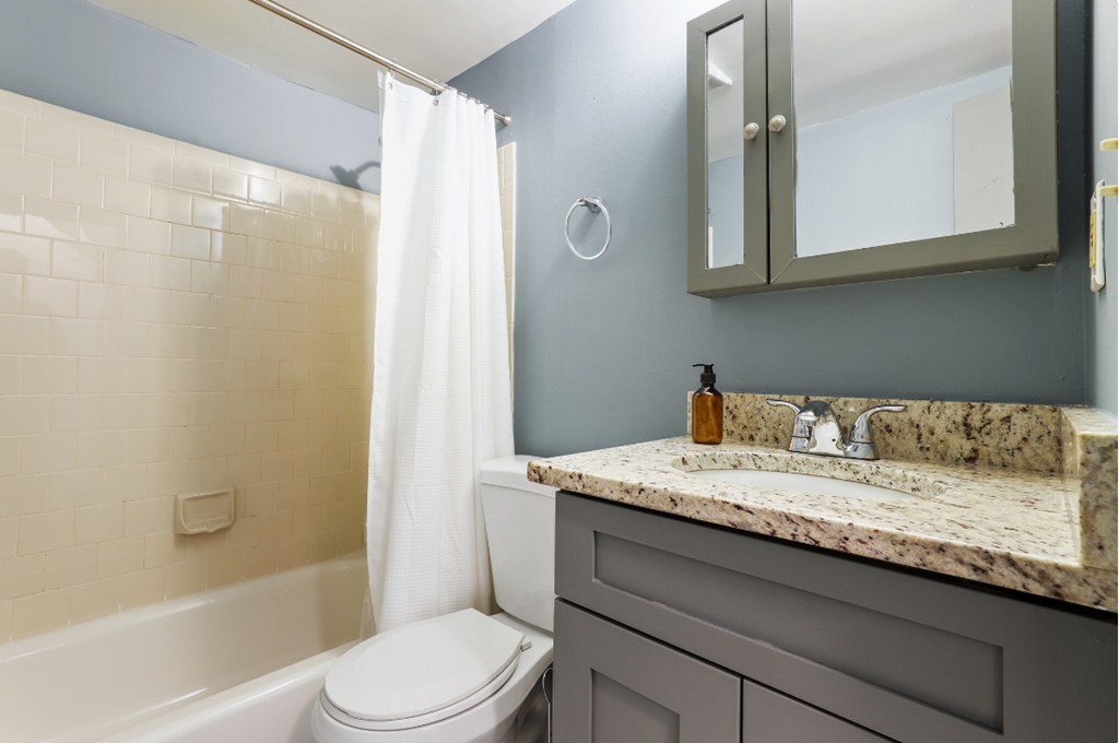 a bathroom with a sink and a toilet and a shower