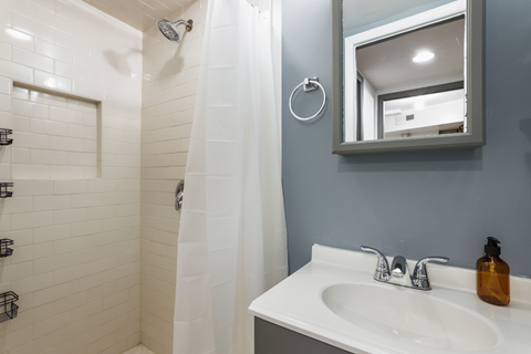 a bathroom with a sink and a shower and a mirror