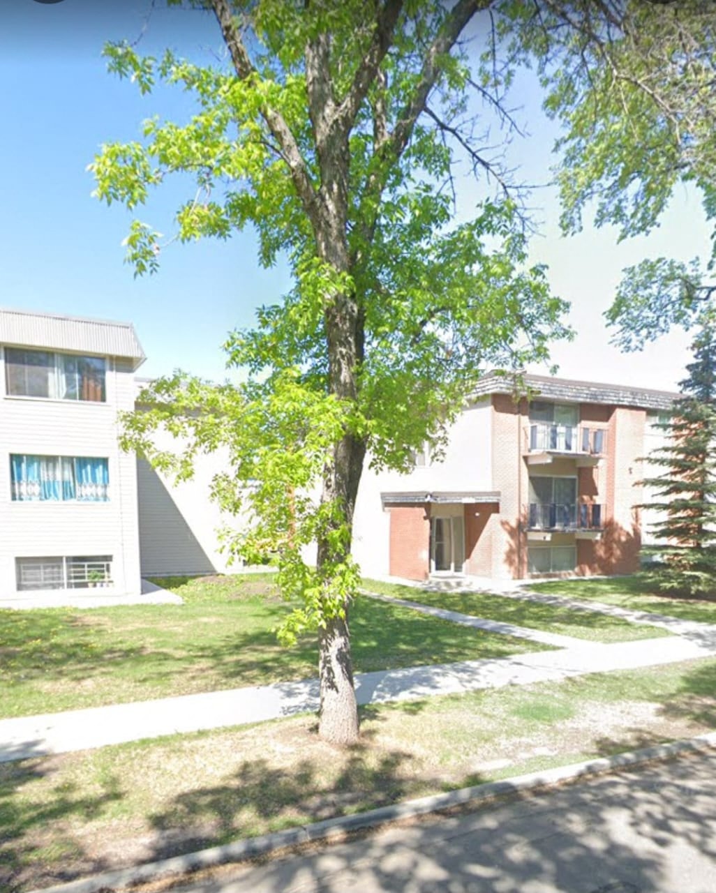 a tree in front of some buildings