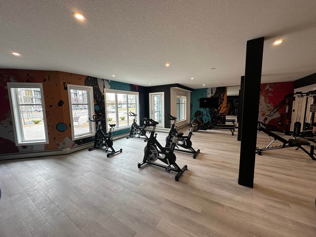 a gym with cardio equipment and a wall of windows