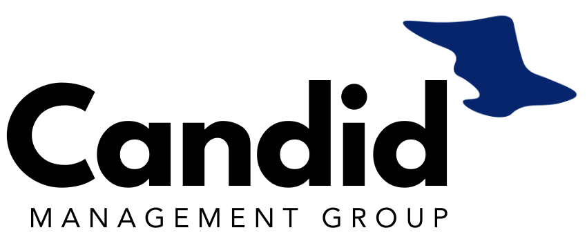 A blue shape resembling a bird in flight.