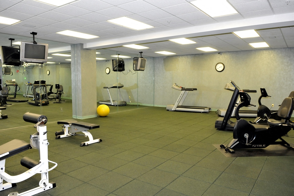 treadmills, eliptical, and bikes