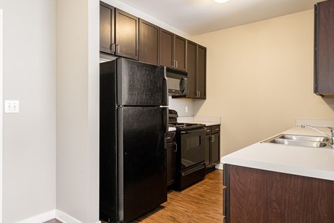 a kitchen with a black refrigerator and a sink