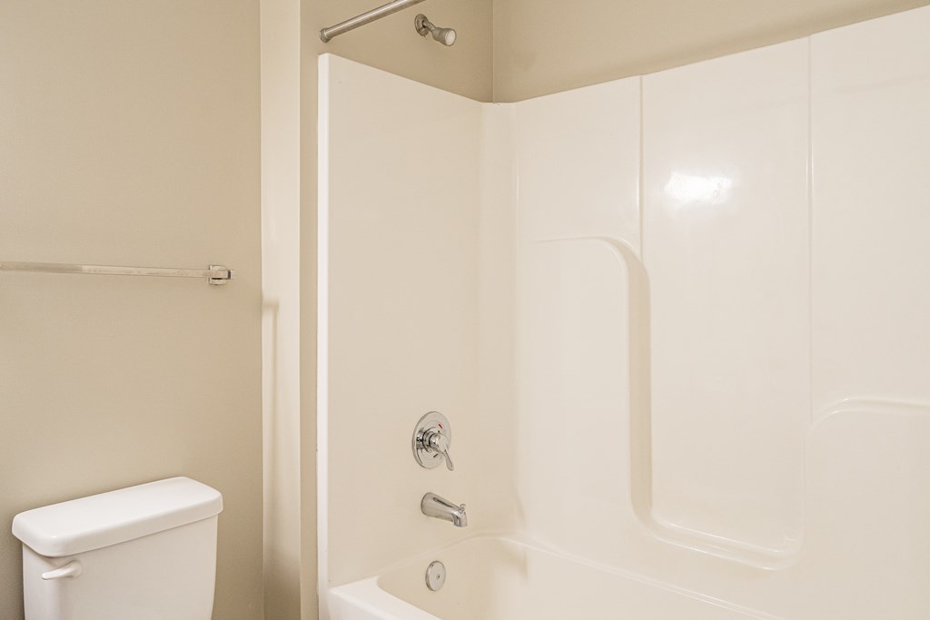 a bathroom with a shower and a toilet