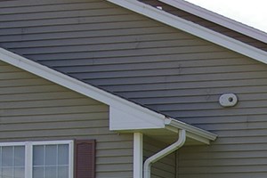 Pet Friendly Apartments For Rent Waterloo Pet Friendly Apartments For Rent Waterloo