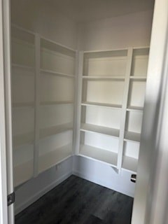 A white closet with shelves and a door.
