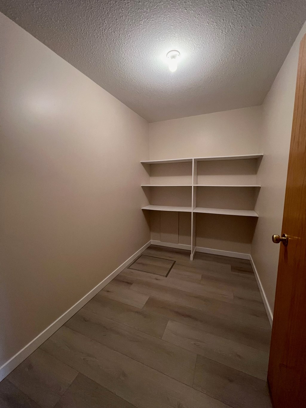 a walk in closet with shelves and a door