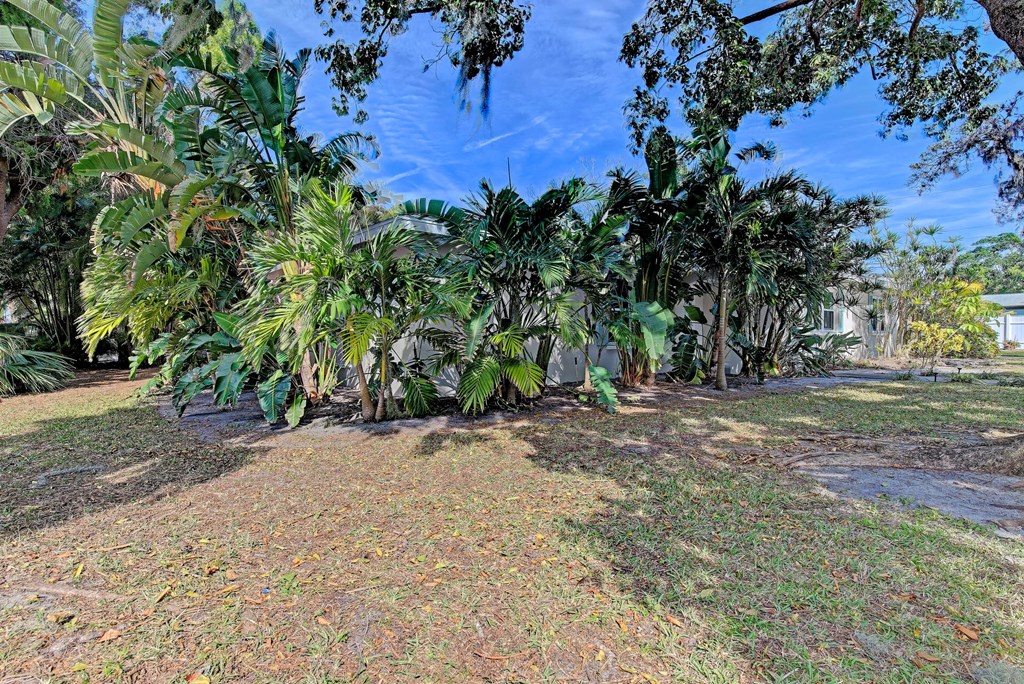 a yard with palm trees and a house in the background