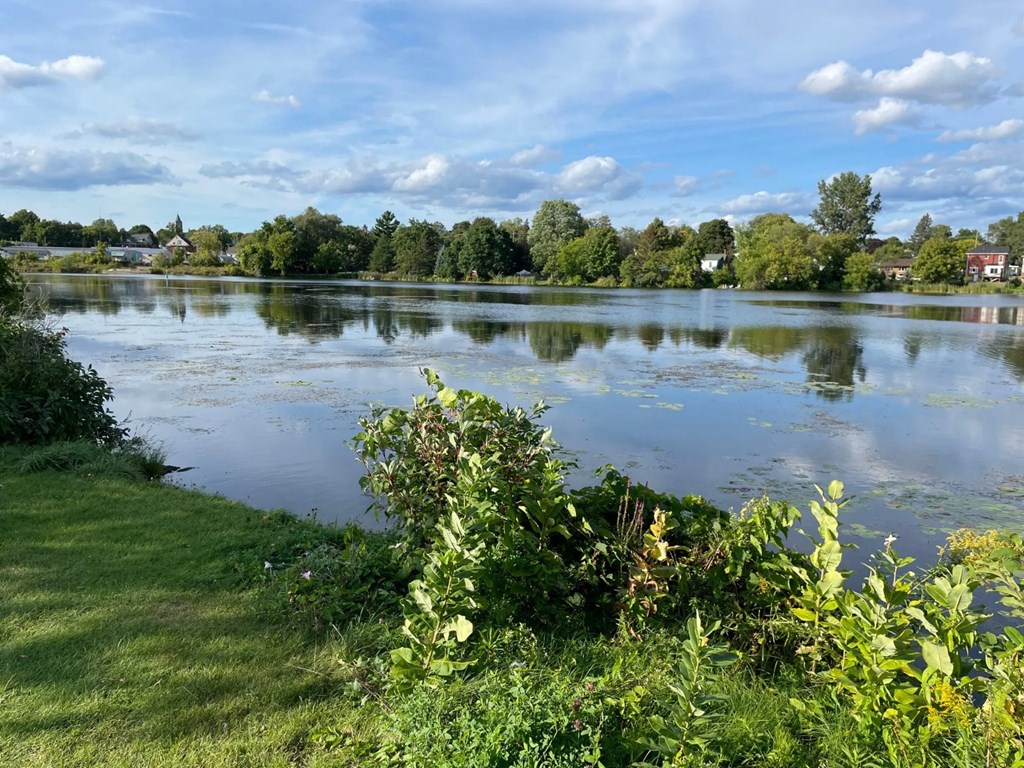 a view of a lake with trees in the background