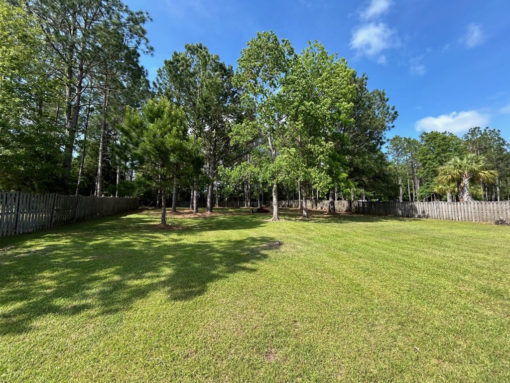 a large yard with trees and a fence