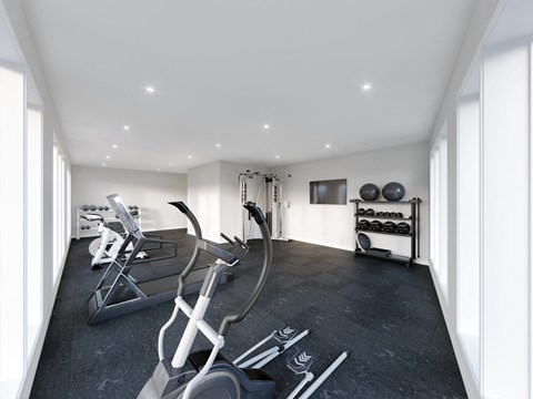 A modern home gym with treadmills and elliptical machines.