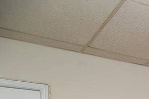 Studio Studio - Photo Gallery 5