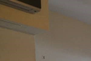 #3F: 1BR for $1895 #3F: 1BR for $1895 - Photo Gallery