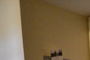 #1MF - 1BR for $1595 for June or July 1st #1MF - 1BR for $1595 for June or July 1st - Photo Gallery 3