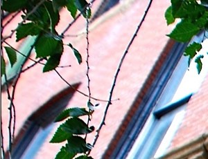 2125 Exterior a green sign hanging from the side of a building