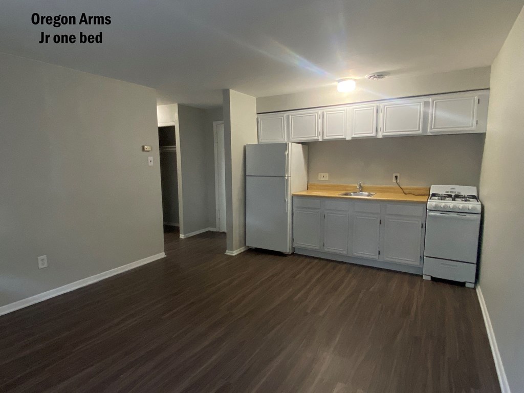 an open kitchen with white cabinets and a sink and a refrigerator