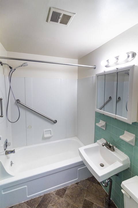 a bathroom with a tub and a sink and a mirror