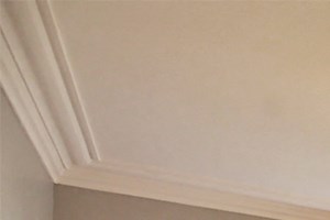 310 1 310 S. Austin Blvd 1-3 Beds Apartment for Rent - Photo Gallery 6
