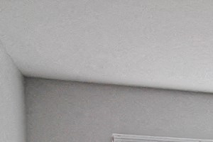 1 Bedrooom 37 Rockford Ave. Studio-1 Bed Apartment for Rent - Photo Gallery 4