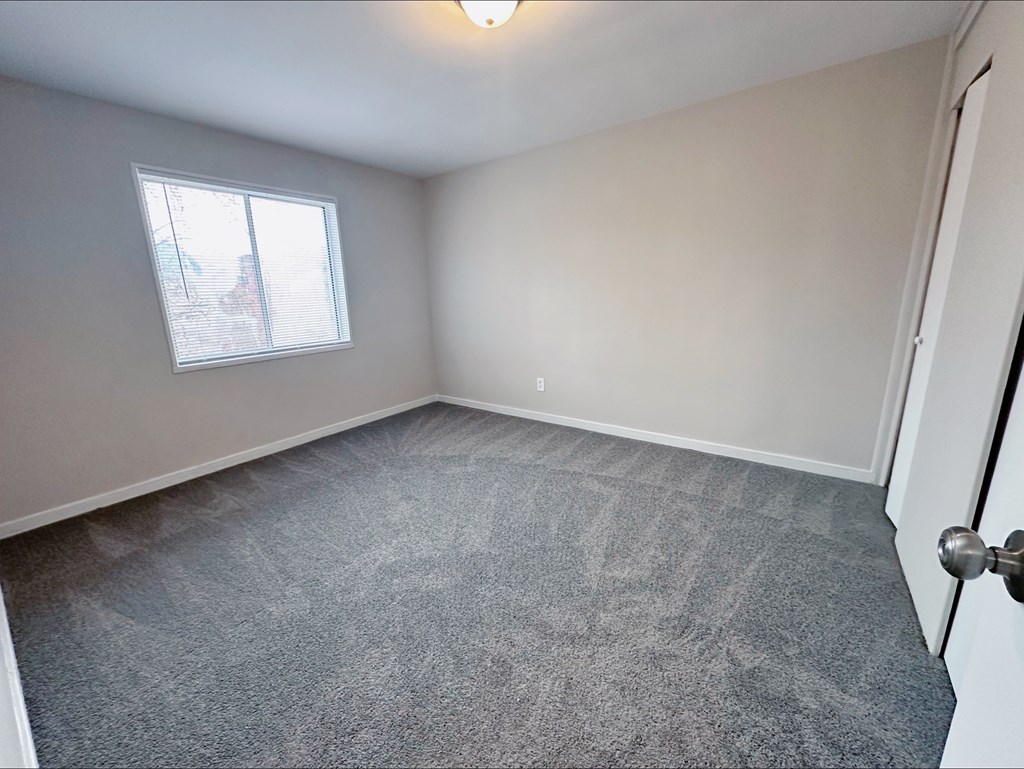A room with a grey carpet and a window.