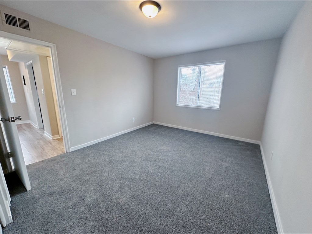 A room with a grey carpet and a window with blinds.