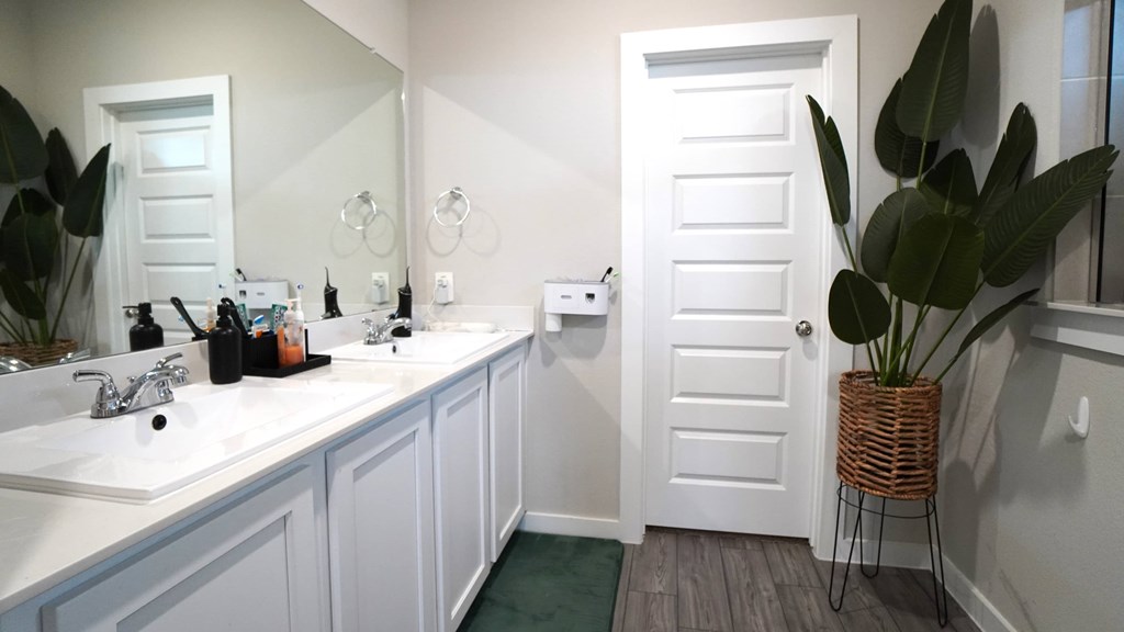 a white bathroom with two sinks and a potted plant