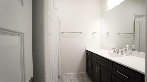 a bathroom with a sink and a shower and a mirror