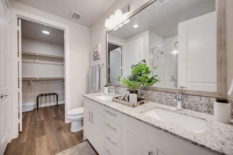 a bathroom with a sink and a toilet and a mirror