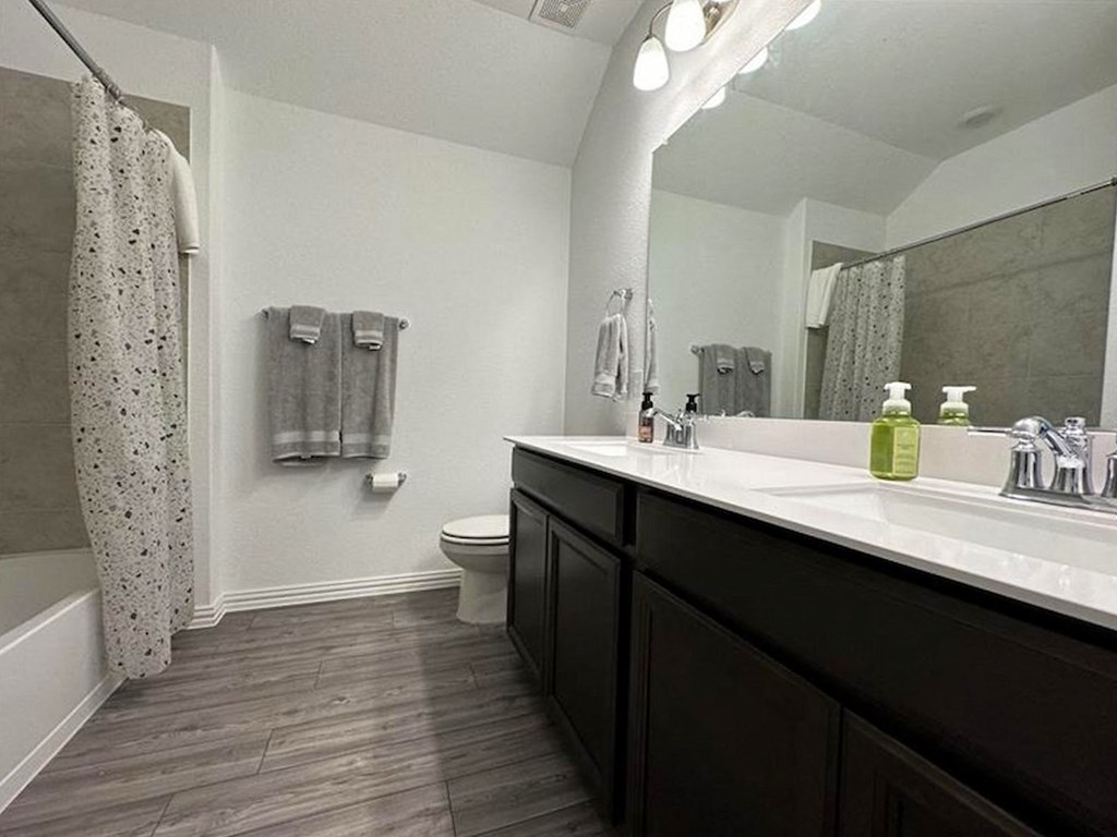 a bathroom with a sink and a toilet and a mirror